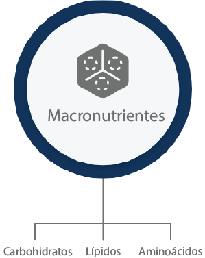 Formulação macronutrientes