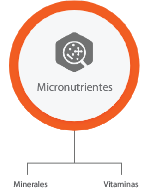 Formulação micronutientes